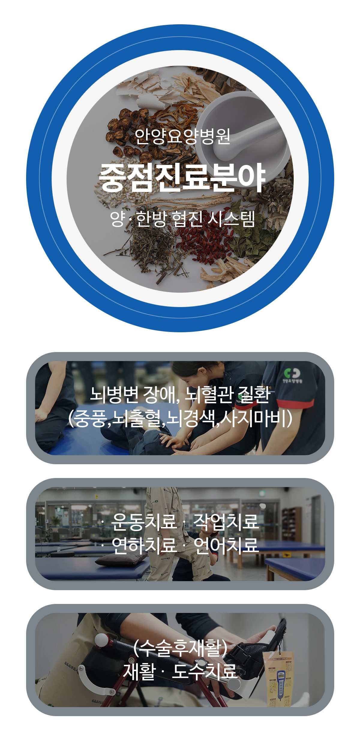 진료분야
